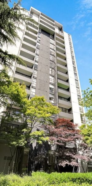 The Summit - Photo 1