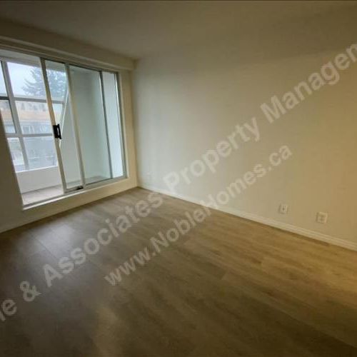 4113 Fraser Street P7 Vancouver - Photo 1