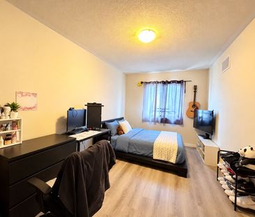 For Lease - 163 Flagstone Way, Newmarket, Ontario - Photo 6