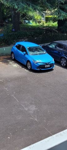 Newly Renovated Apartment in the heart of Mt Eden - Photo 5