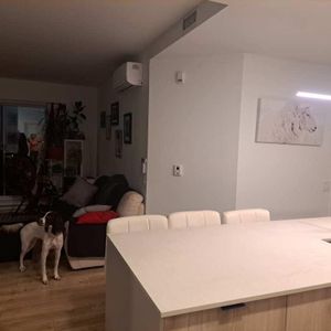 4 demi + Bureau/DROIT chiens et chats - Photo 2