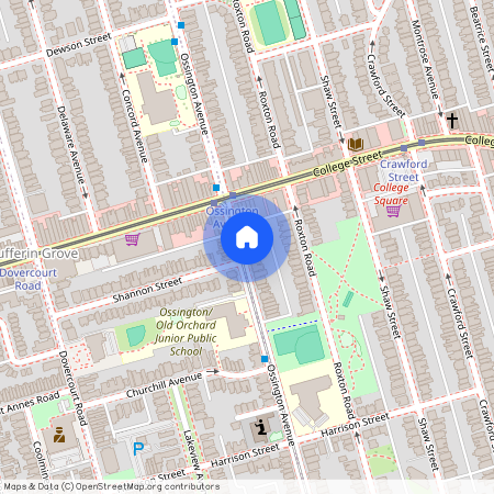 LOWER - 419 OSSINGTON AVENUE, M6J3A6, Toronto