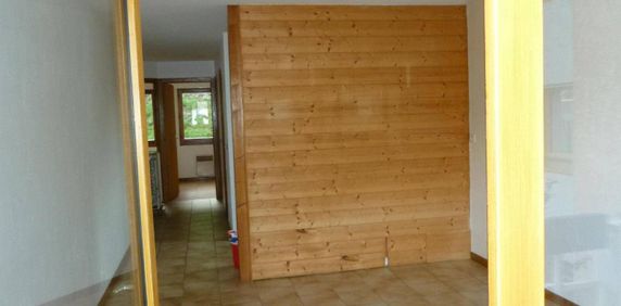 Location appartement 3 pièces 52.9 m² à Sallanches (74700) - Photo 2