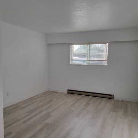 1 bed 1 bath - Photo 1