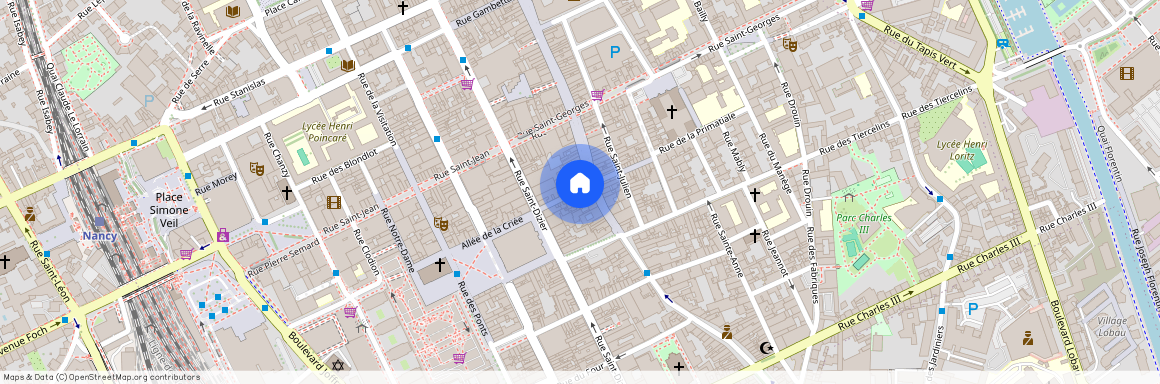 16 RUE DE LA FAIENCERIE, Gambetta Carmes Faiencerie, Nancy