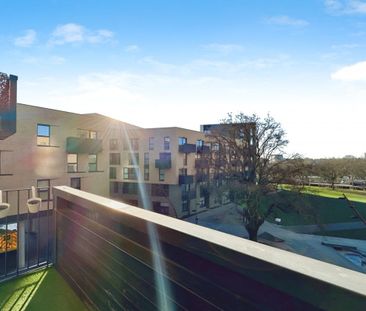 Burgess Springs - Photo 6