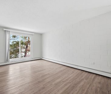 - 1 Bedroom at Miami Apartments - Photo 6