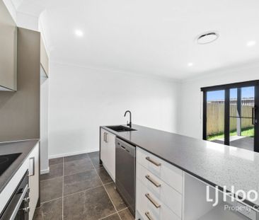 Terrace Living at it's Best! Larger than Most Standard Homes! - Photo 3