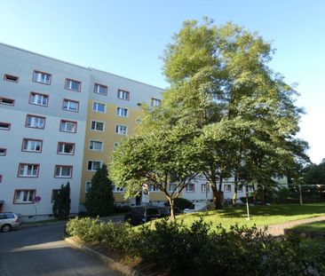 Schicke 3-Raum-Wohnung im Grünen sucht eine Familie! - Foto 4