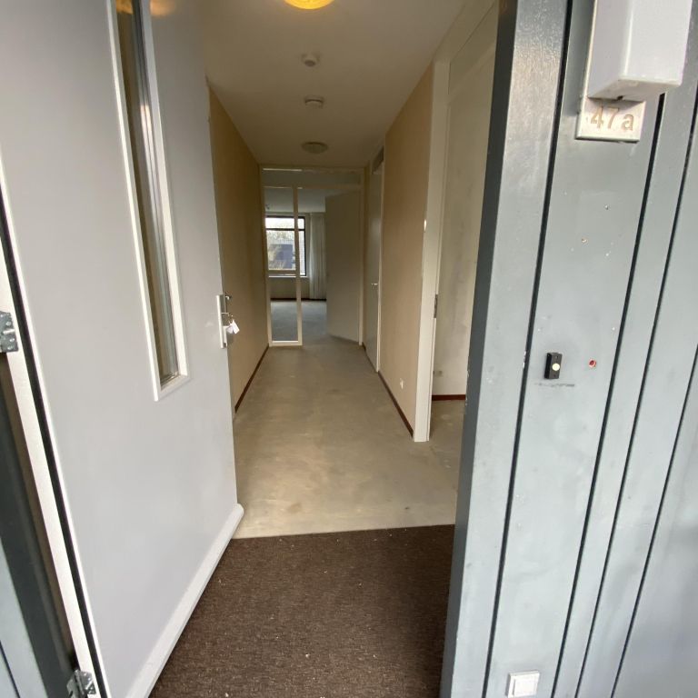 Bospolderstraat 47-A - Photo 1