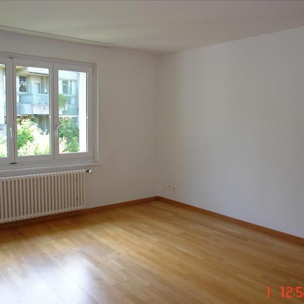 "Grosszügige Wohnung an ruhiger Lage" - Photo 1