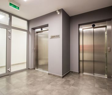 dobrego pasterza - Zdjęcie 1