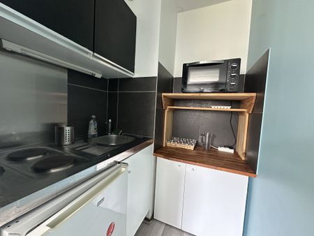 Location Appartement 1 pièce 24m² GRENOBLE 38100 - Photo 3