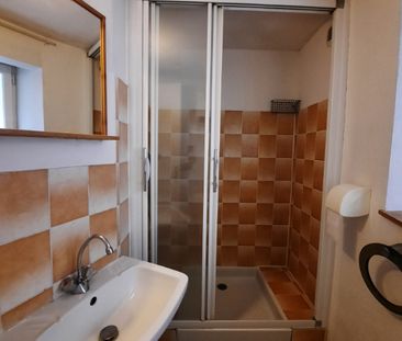 Location Appartement 1 pièce 18m² - Photo 3