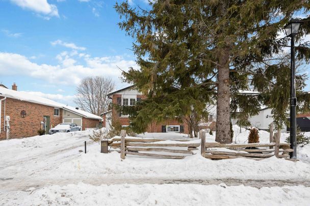 For Lease - 249 Hodgson Drive, Newmarket, Ontario - Photo 1