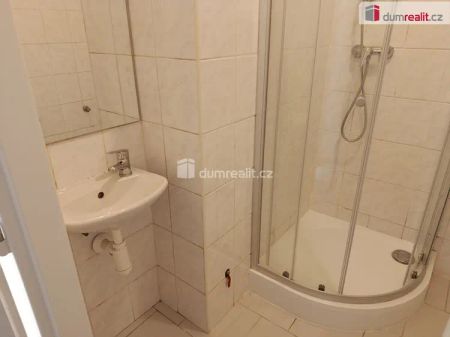 Pěkný podkrovní byt 1+kk po rekonstrukci, Praha 10 - Strašnice - Фото 4