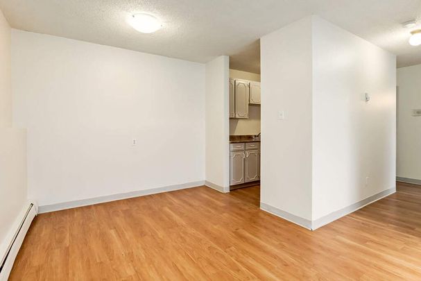 1 Bedroom - Photo 1