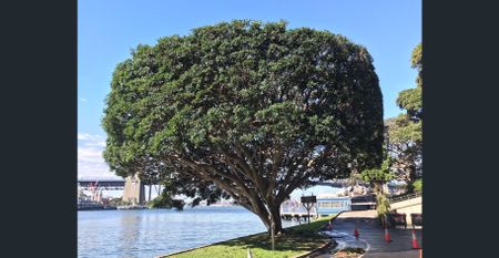 Exclusive harbourside location with pool and bbq - Photo 3