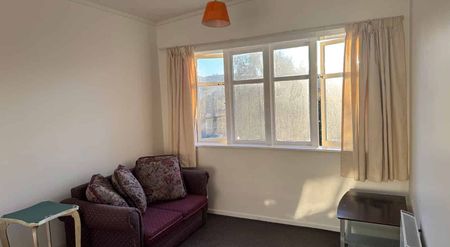 large 1 bedroom in Mt Victoria - Photo 2