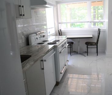 For Lease - 59 Leggett Avenue Unit# Main, Toronto, Ontario - Photo 6