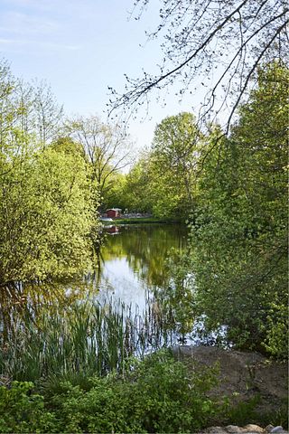 Moderne bofællesskab - for voksne uden hjemmeboende børn. - Foto 5