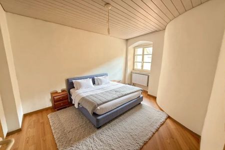 Charming apartment in the old town with character and shared garden - Photo 5