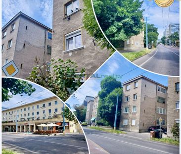 Prízemný 1izb.byt, klíma, Miletičova – Fotografia 6