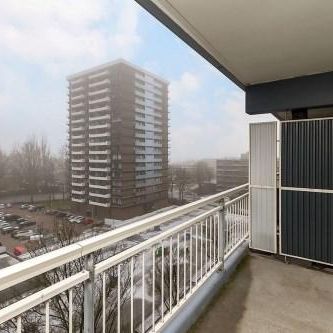 Groenhof, 1186 DL Amstelveen, Nederland - Foto 3