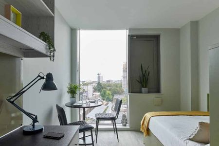 Classic Studio - Photo 5