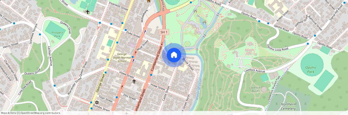 61 Duke Street, Dunedin