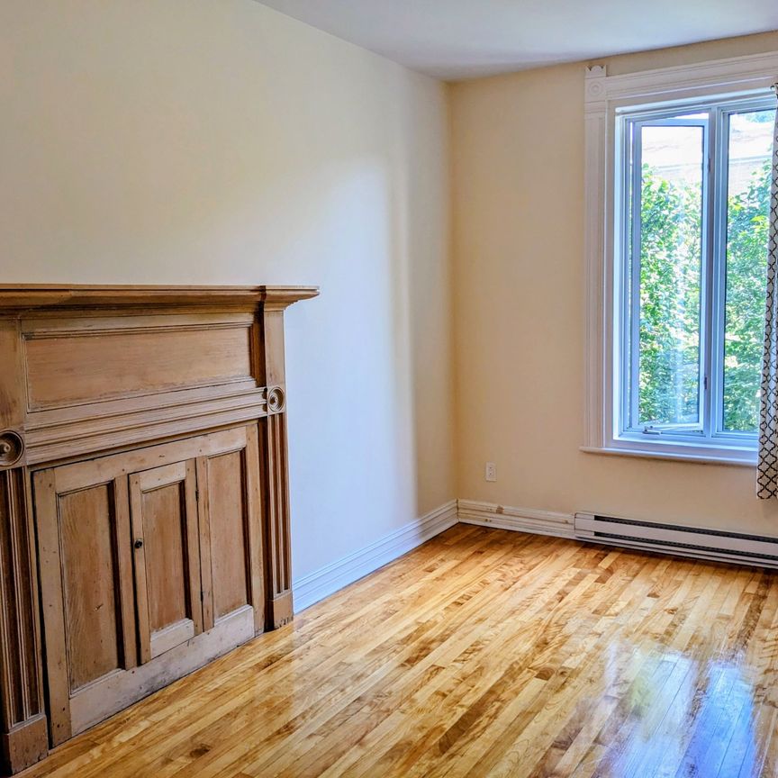 4684 Av. Christophe Colomb, Montréal (Le Plateau-Mont-Royal), QC H2J - Photo 1