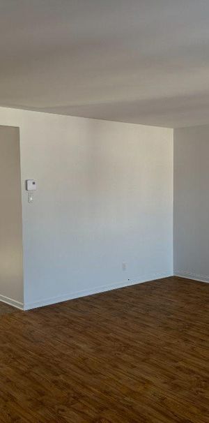 Grand 4 1/2 lumineux - Photo 1