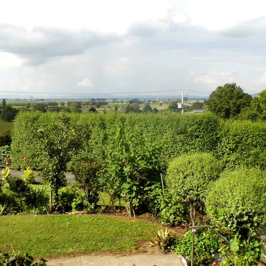 Elevated Rural Home Close to Town - Photo 1