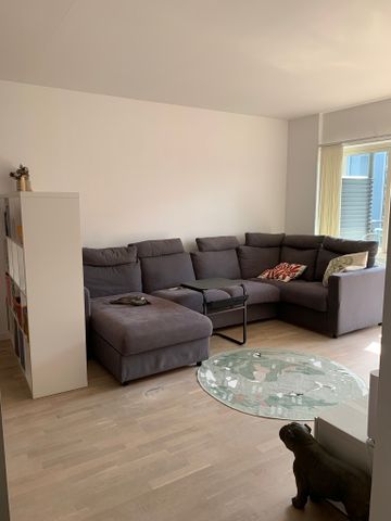 Skräddarebyn, Bunkeflostrand - Foto 5