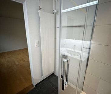 Excellent 2-room apartment in St. Gallen, canton SG - Photo 4