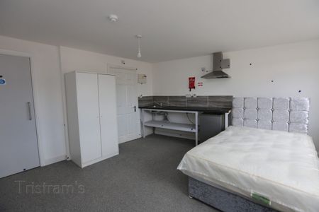 1 bed Studio for Rent - Photo 4