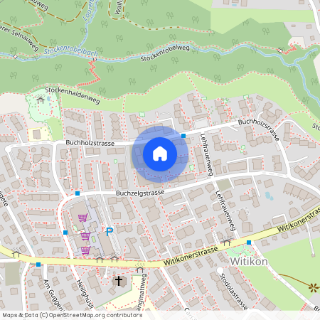 Buchholzstrasse 98, 8053 Zürich