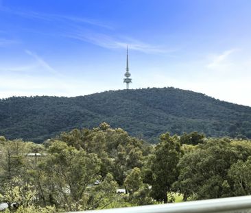 One Bedroom In Perfect Location! - Photo 5