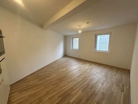 Erstbezug! 2-Zimmer mit Garten in einem Neubau in 2221 Groß-Schweinbarth - Photo 2