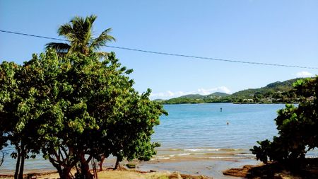 Location / Appartement T3 - Photo 2