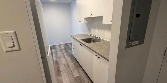 565 Rue De Pointe Gatineau (Gatineau) Magnifique Logement 3 1/2 à Louer - Photo 3