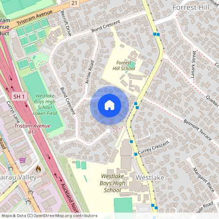 13 Bowman Road, Forrest Hill, North Shore City