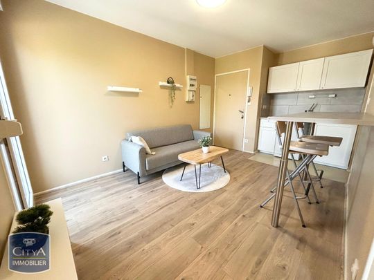 Location Appartement 1 pièce 25m² TOURS 37100 - Photo 1