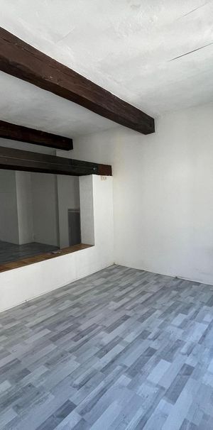 Location Appartement 1 pièce 52m² GRENOBLE 38000 - Photo 1