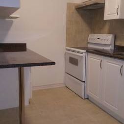 Renovated 1-bedroom - On SUBWAY Line - Photo 2