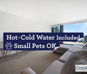 2 large bedrooms + 2 Bath at Centro , Sugartree! - Photo 3