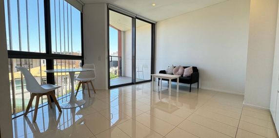 NEAR NEW LUXURY FURNISHED ONE BEDROOM SUITE APARTMENT - Photo 2