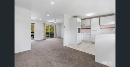 Freshly Renovated Highset Dwelling in a Peaceful Bushland Pocket - Photo 4