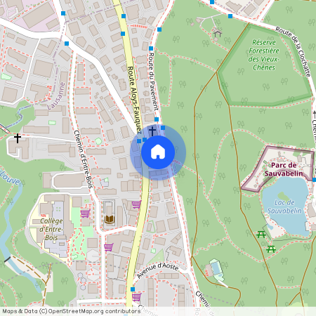 1018, Lausanne, Route du Pavement, 93