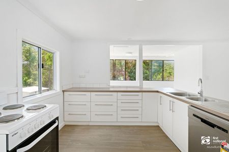 Embrace Tranquil Rural Living in Numinbah - Photo 3